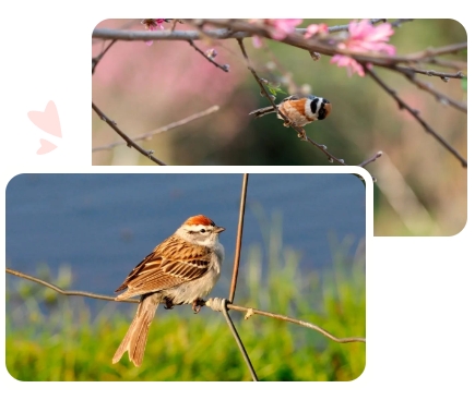 银娱优厚会717(中国)股份有限公司