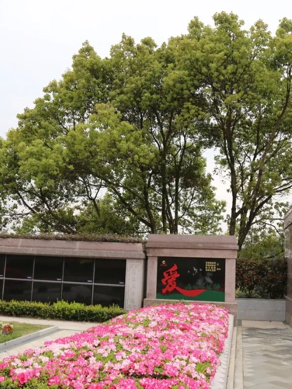 银娱优厚会717(中国)股份有限公司