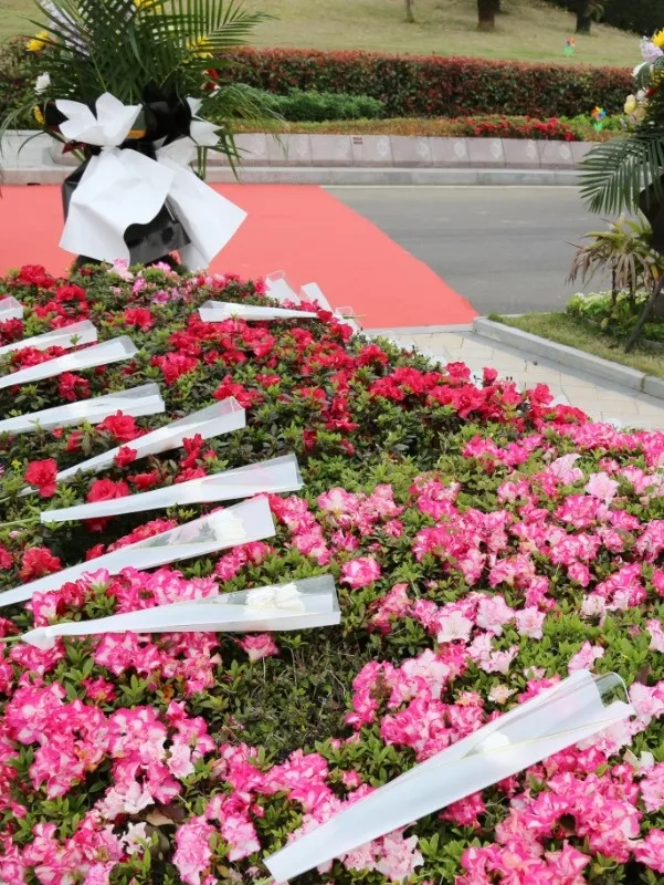 银娱优厚会717(中国)股份有限公司