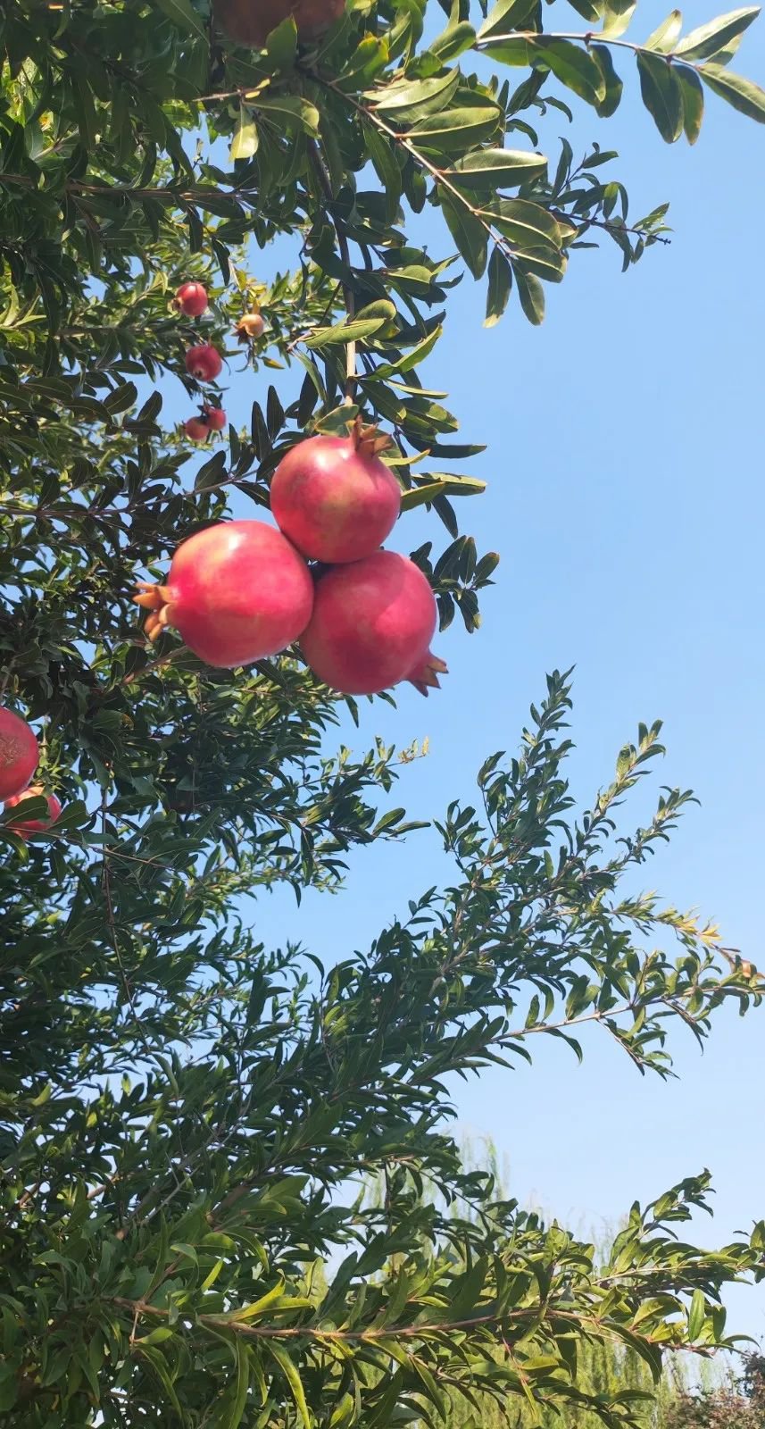 银娱优厚会717(中国)股份有限公司