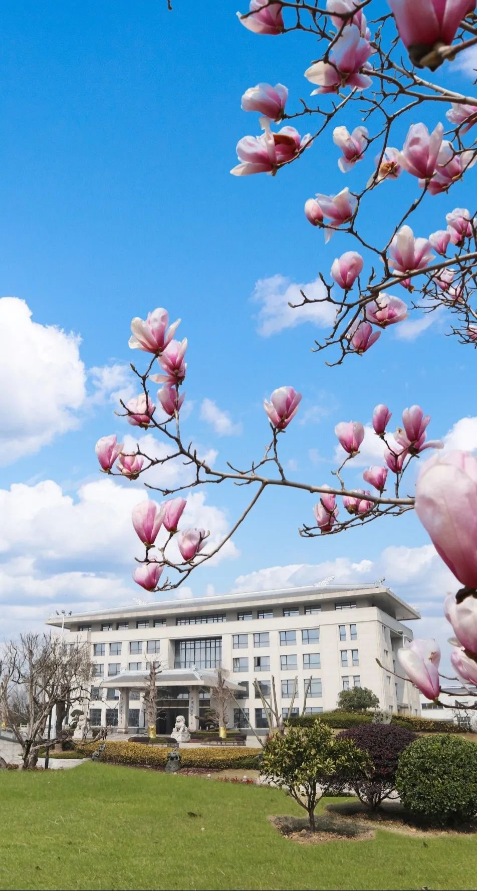 银娱优厚会717(中国)股份有限公司