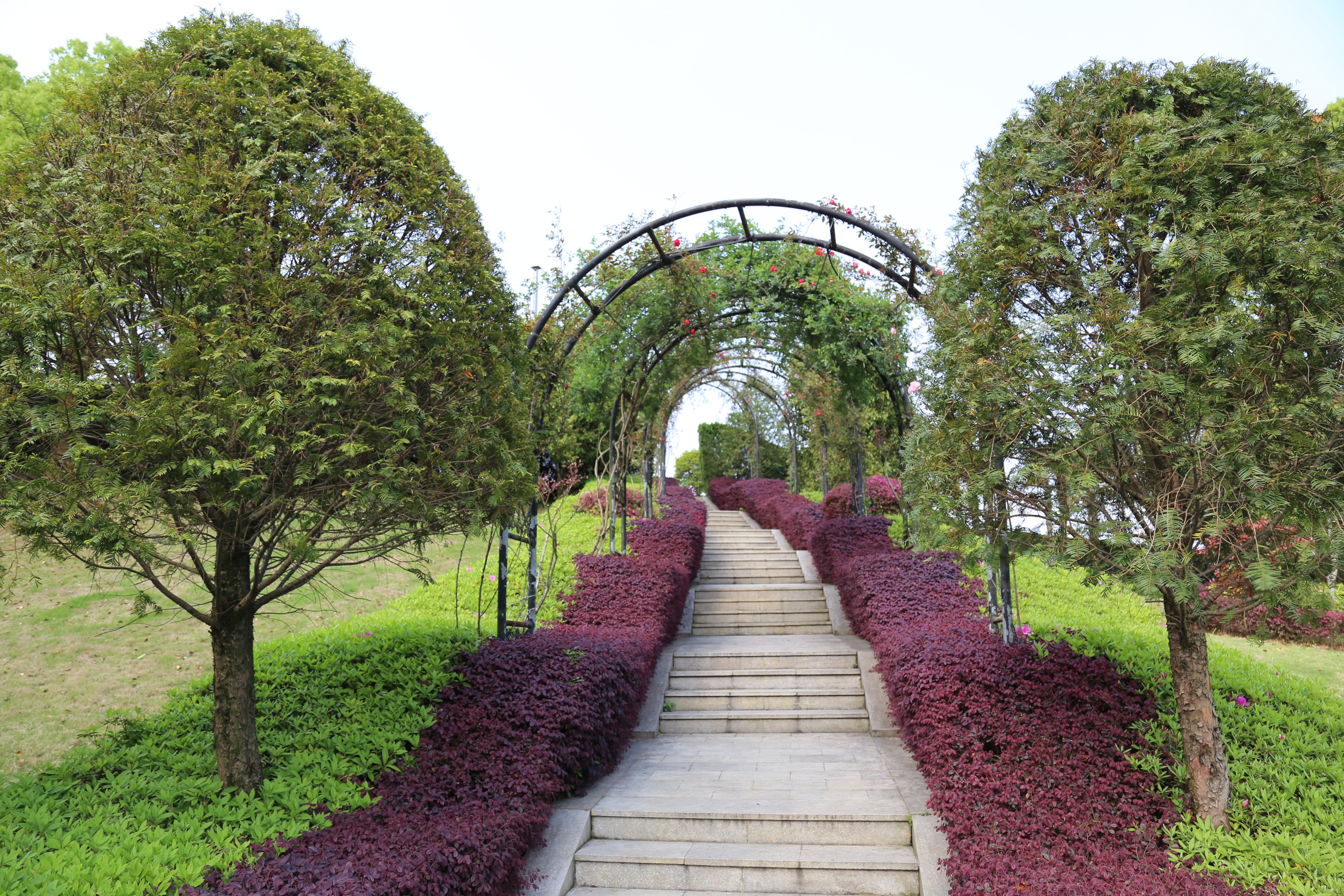 银娱优厚会717(中国)股份有限公司