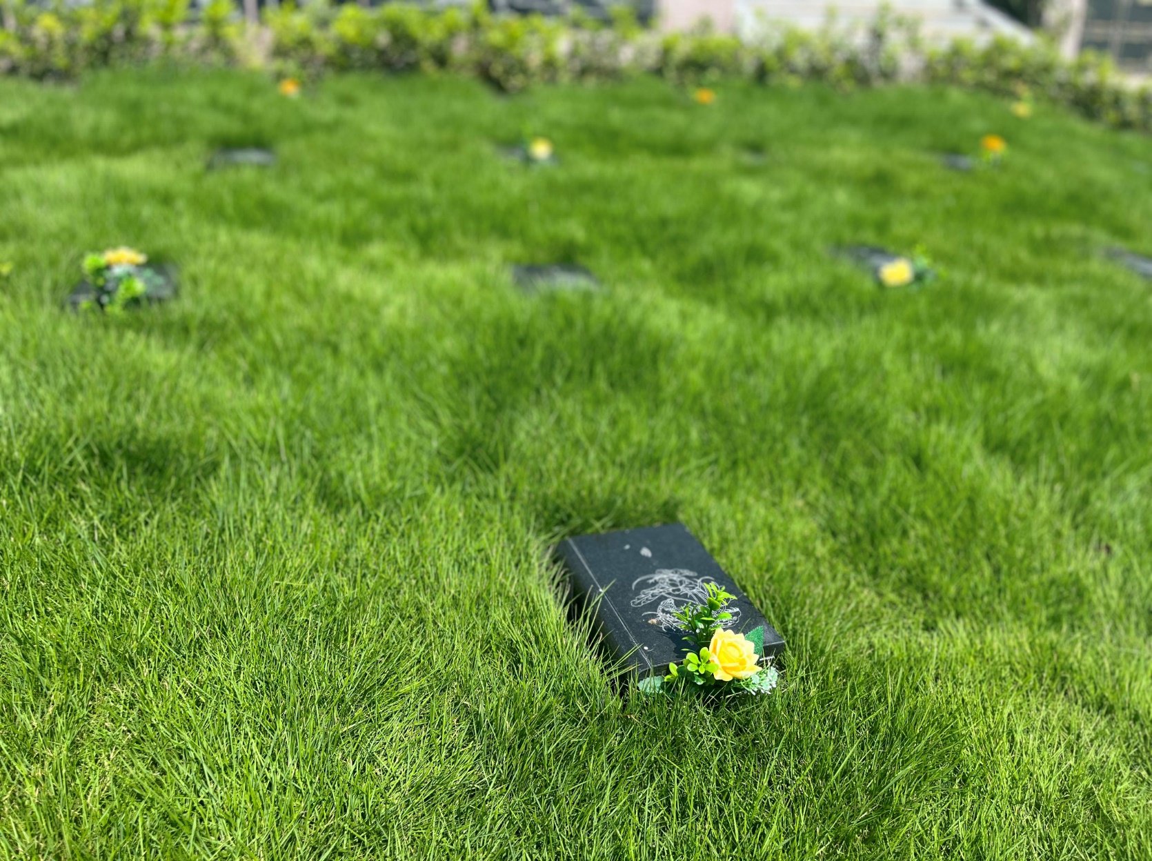 银娱优厚会717(中国)股份有限公司