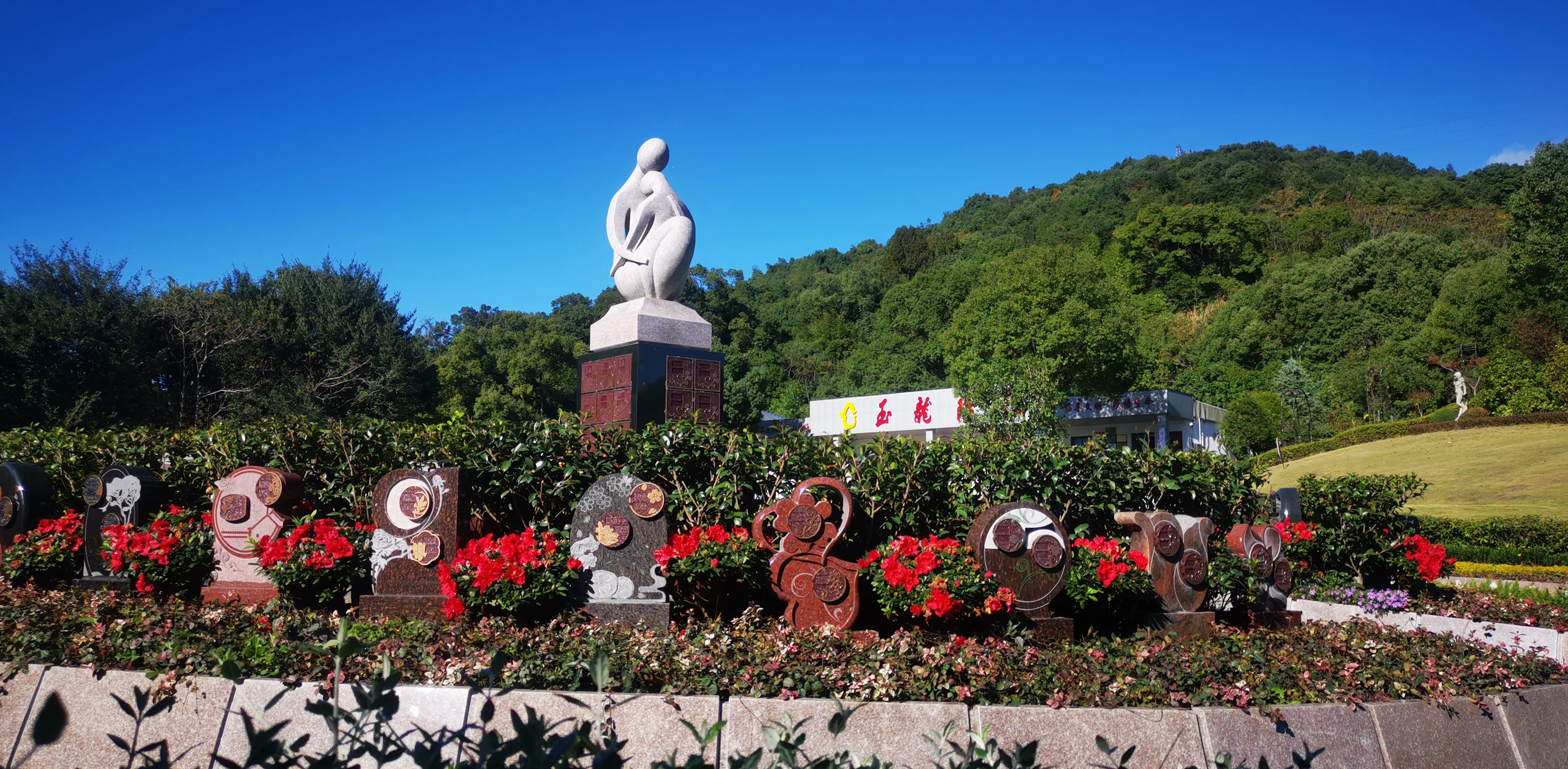 将来，生态葬或将成为主流