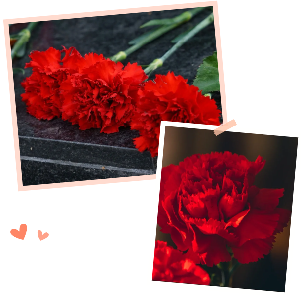 银娱优厚会717(中国)股份有限公司