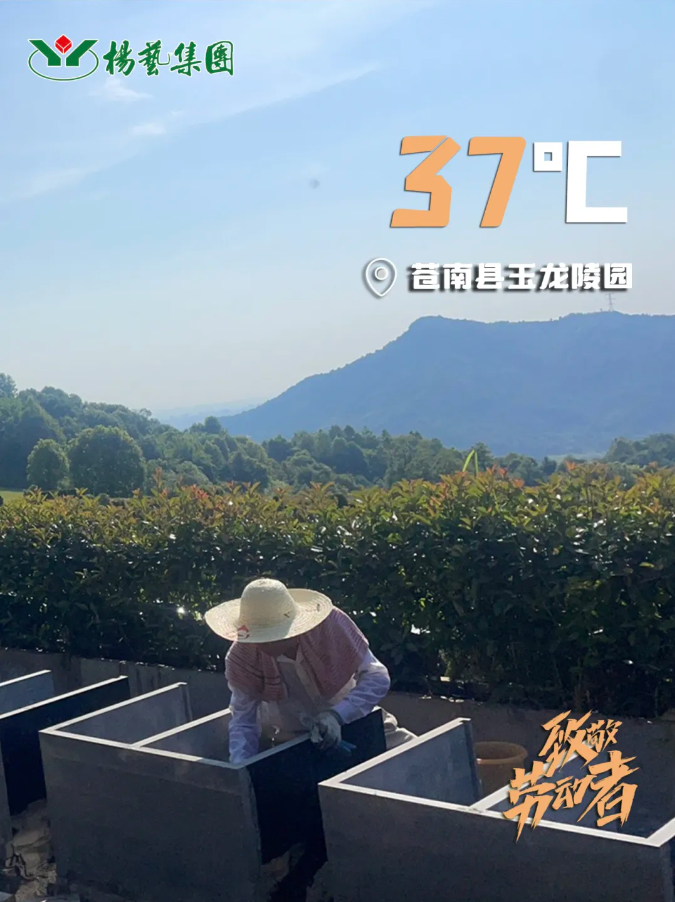 银娱优厚会717(中国)股份有限公司