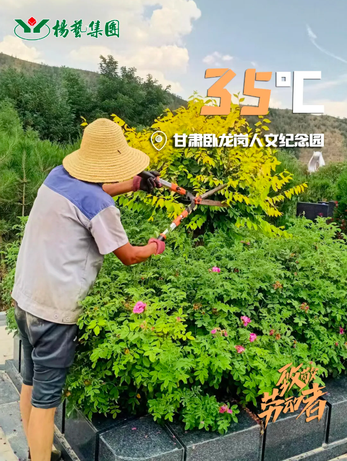 银娱优厚会717(中国)股份有限公司