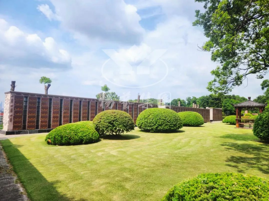 银娱优厚会717(中国)股份有限公司