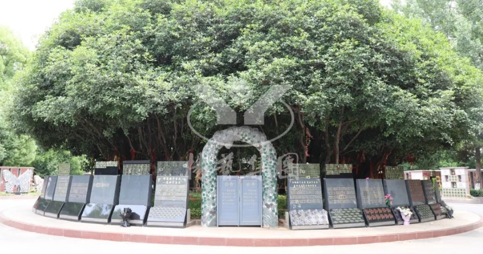 银娱优厚会717(中国)股份有限公司