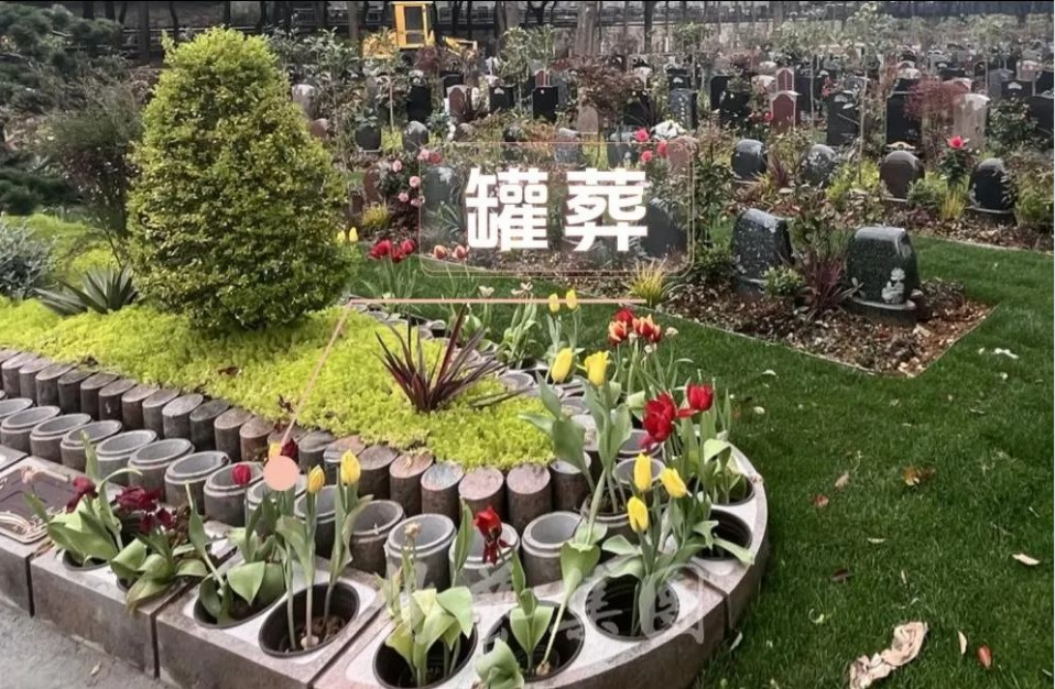 银娱优厚会717(中国)股份有限公司