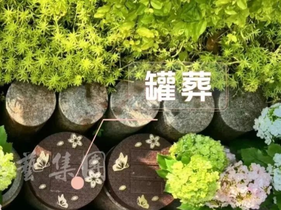 银娱优厚会717(中国)股份有限公司