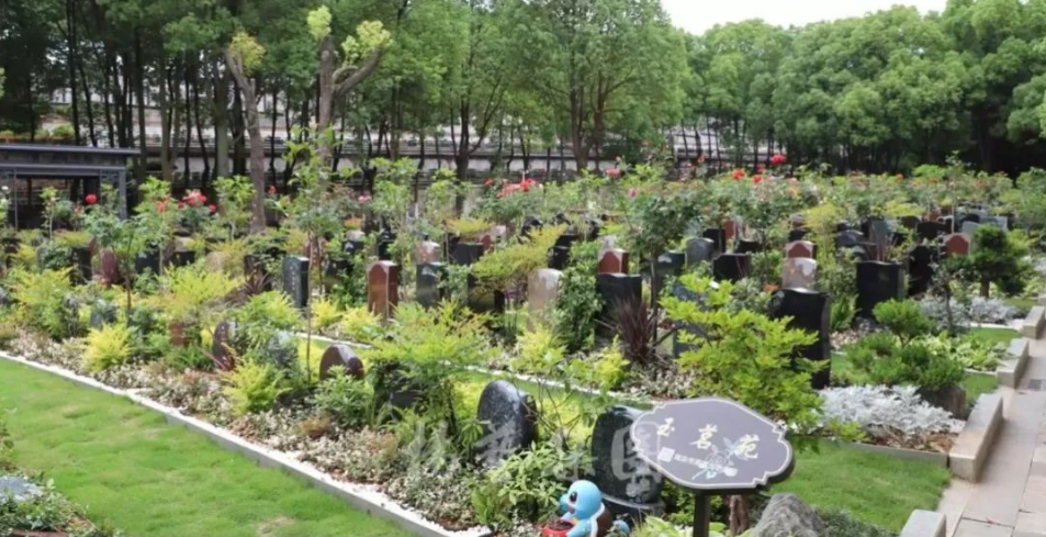 银娱优厚会717(中国)股份有限公司