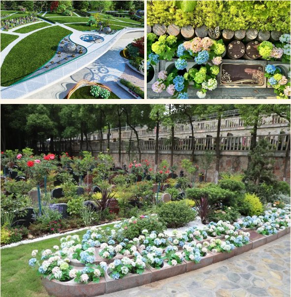 银娱优厚会717(中国)股份有限公司