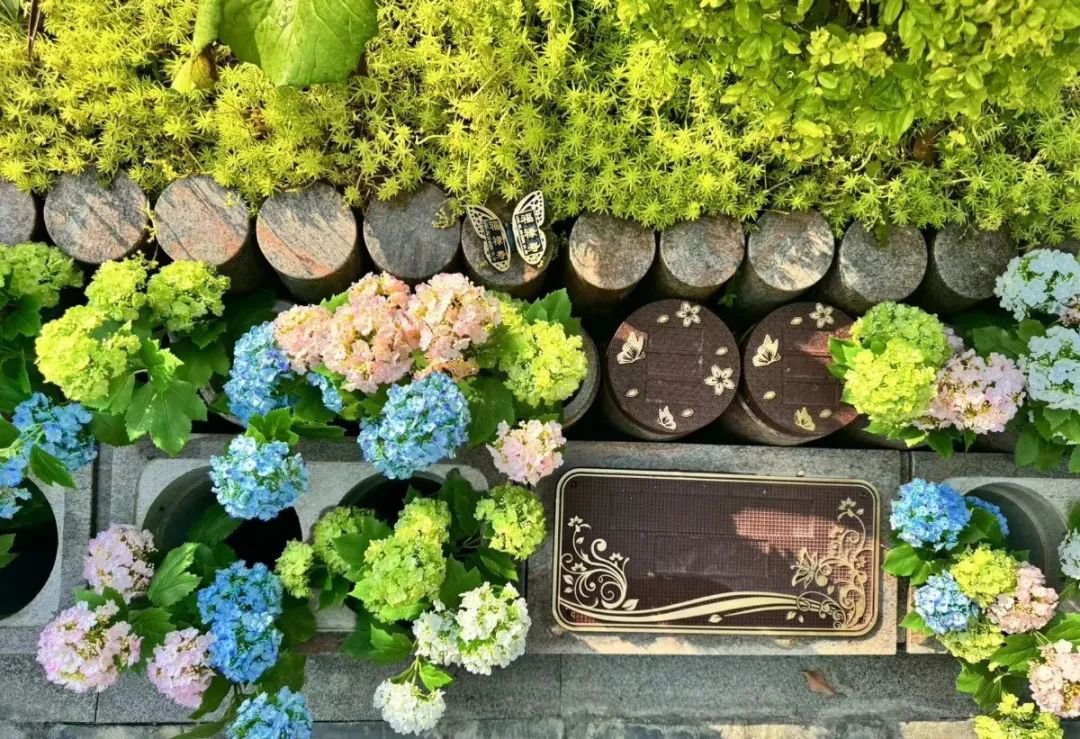 银娱优厚会717(中国)股份有限公司