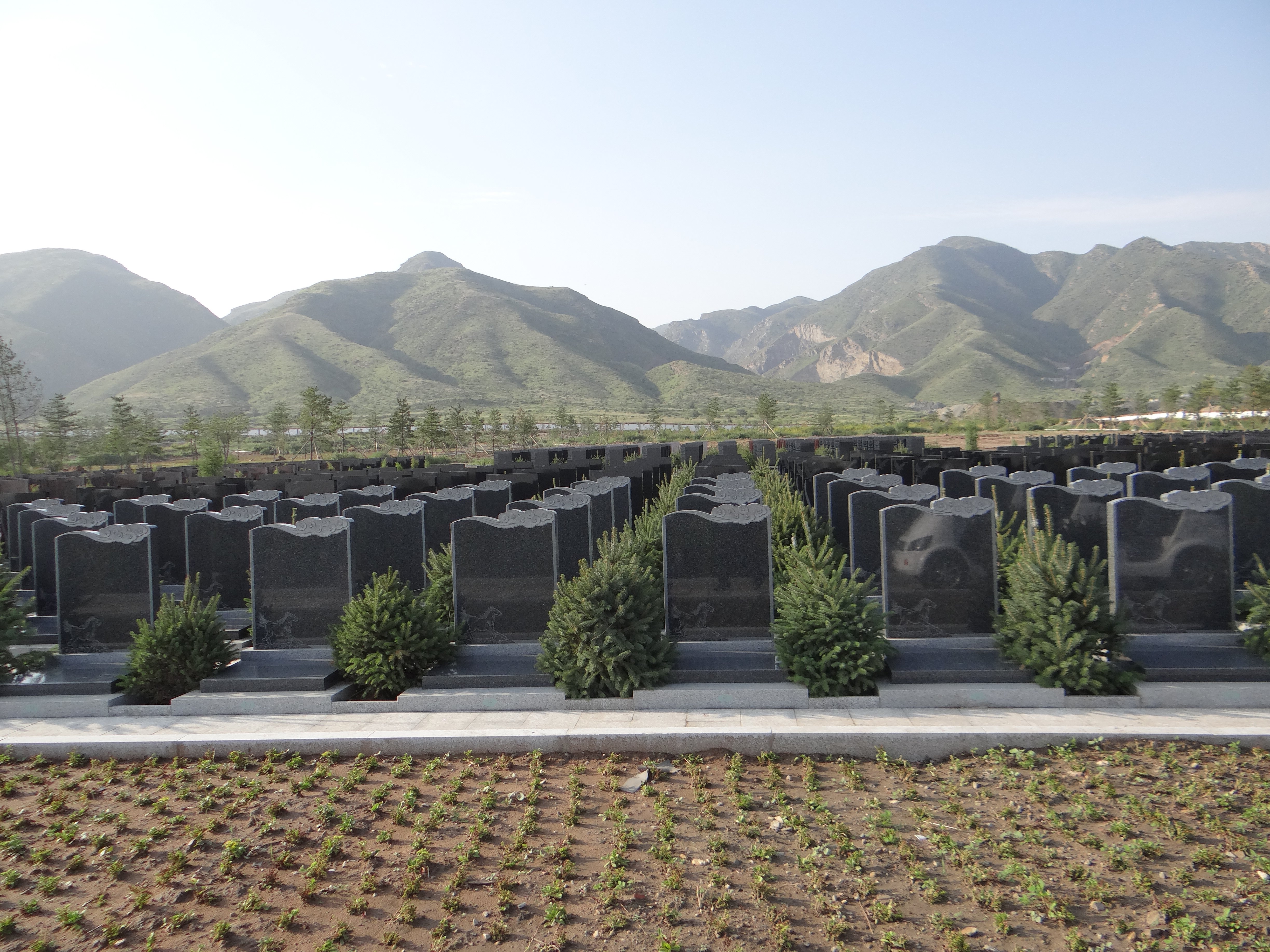 银娱优厚会717(中国)股份有限公司