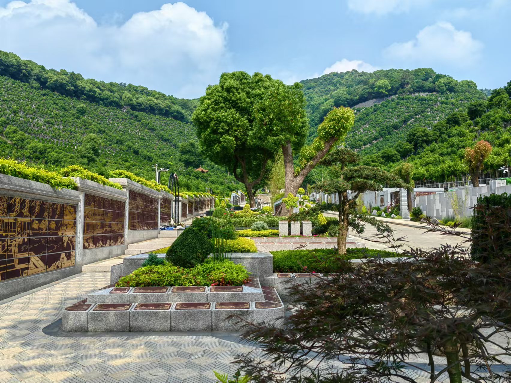 引领绿色生态新风尚，共筑性命和谐家园