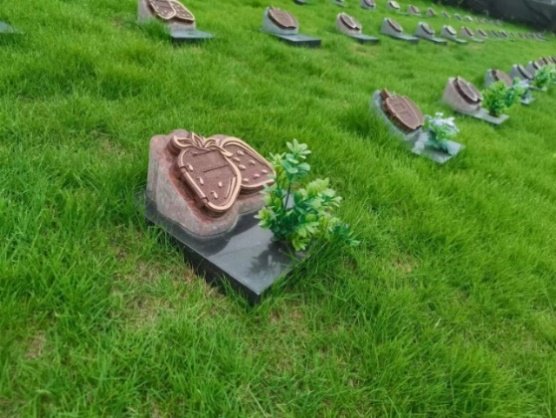 银娱优厚会717(中国)股份有限公司