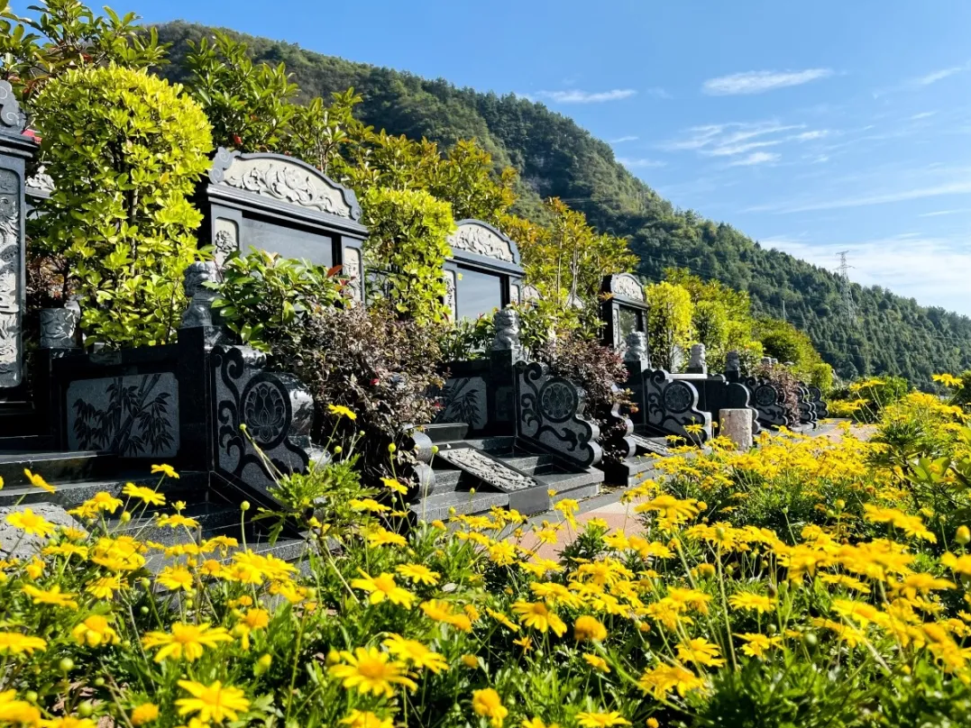 银娱优厚会717(中国)股份有限公司