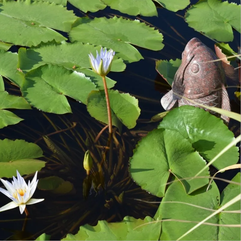 银娱优厚会717(中国)股份有限公司