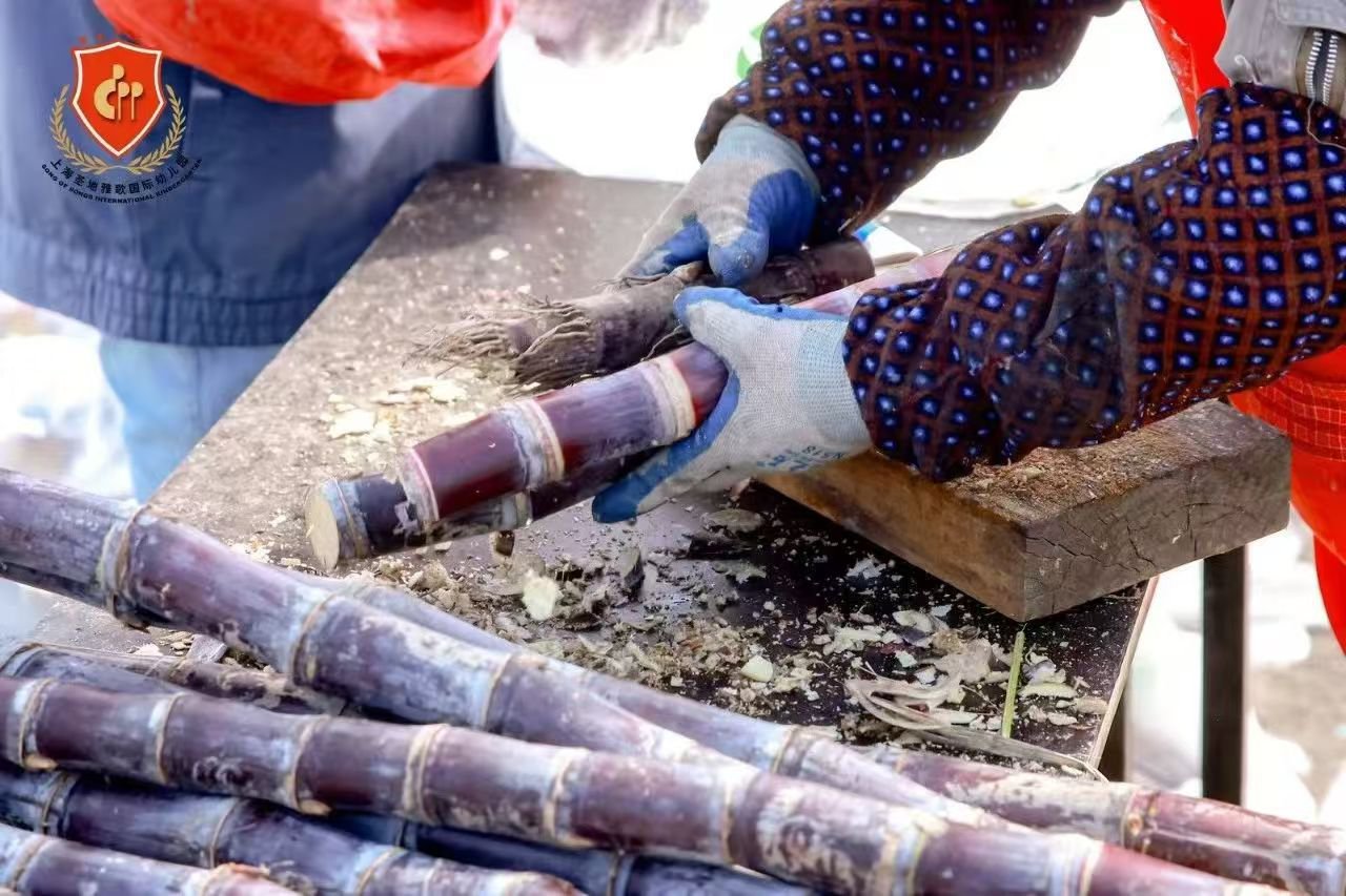 银娱优厚会717(中国)股份有限公司