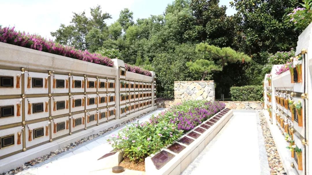 <b>在合肥大蜀山文化陵寝，与性命温顺对话</b>