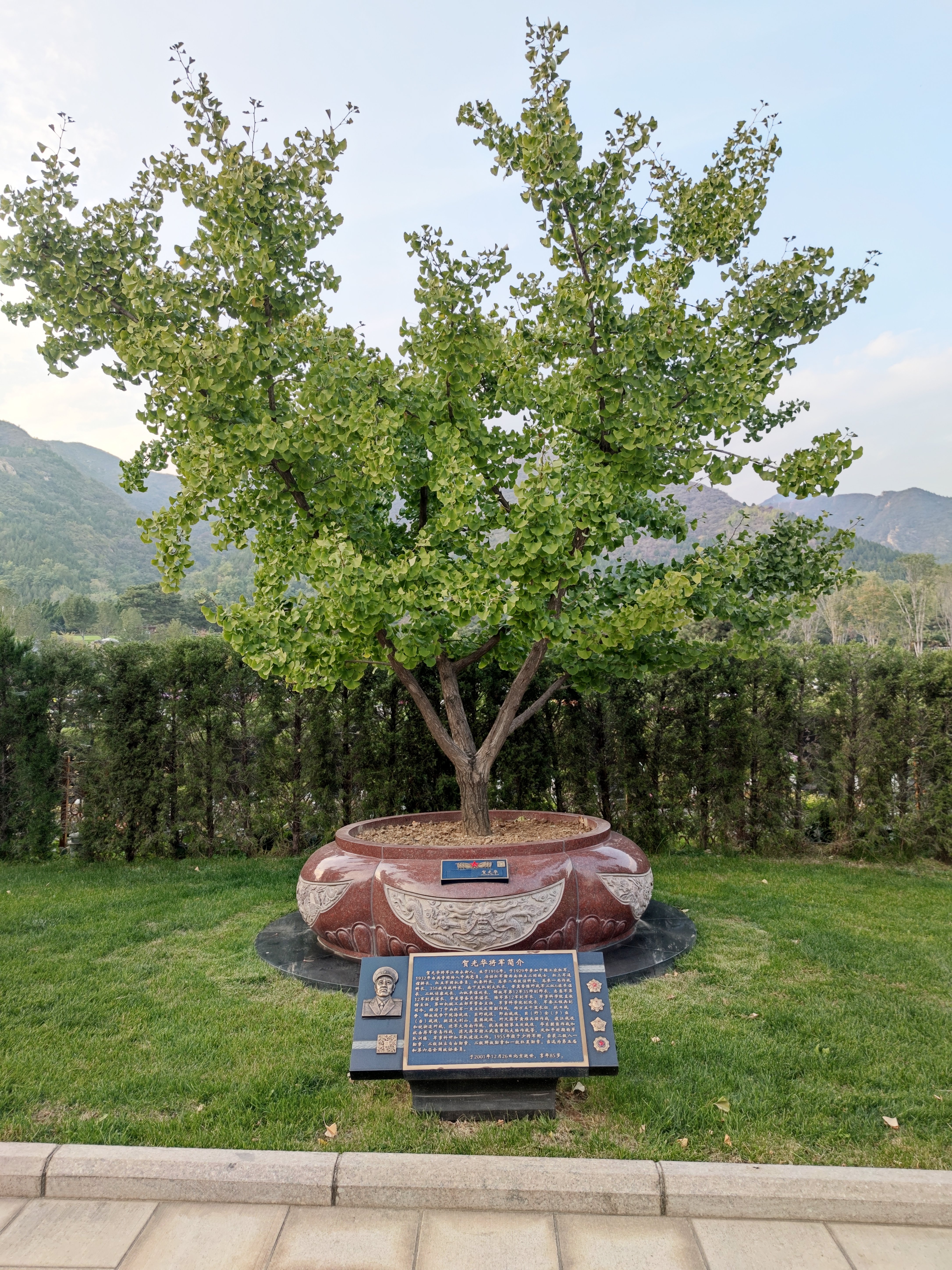 银娱优厚会717(中国)股份有限公司