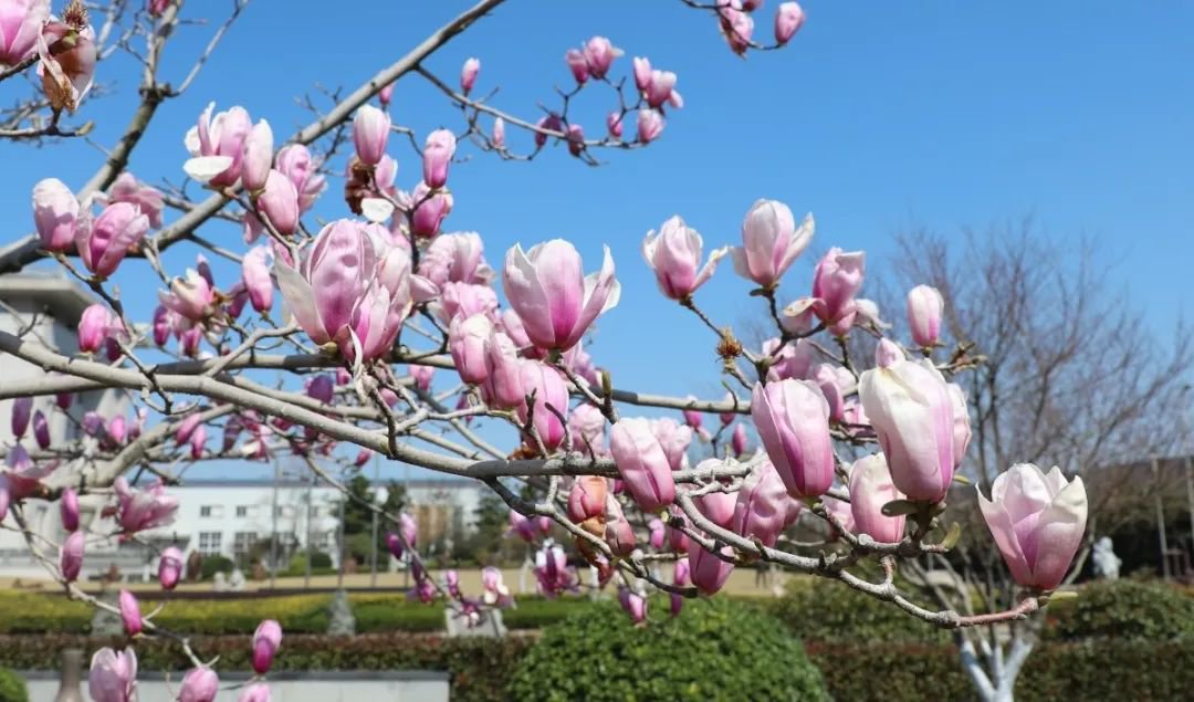 银娱优厚会717(中国)股份有限公司