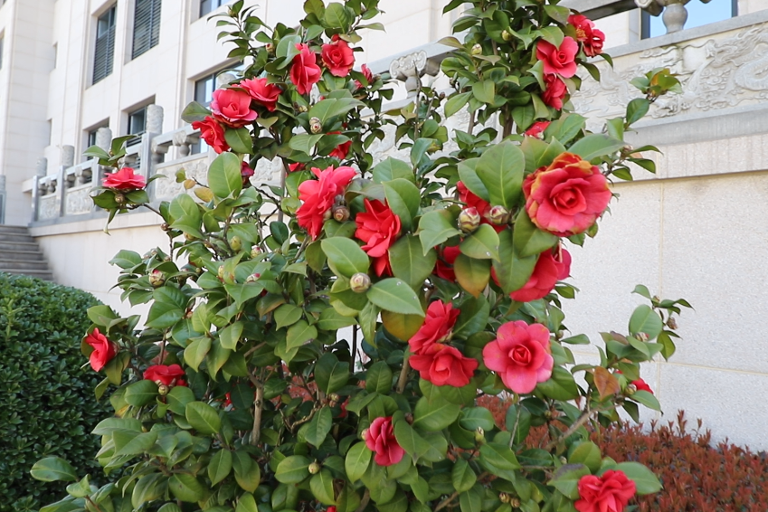 银娱优厚会717(中国)股份有限公司