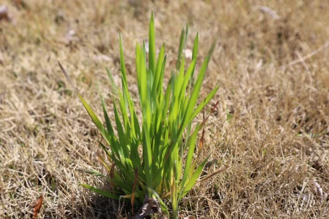 银娱优厚会717(中国)股份有限公司