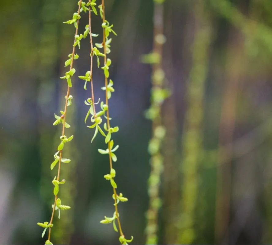 银娱优厚会717(中国)股份有限公司