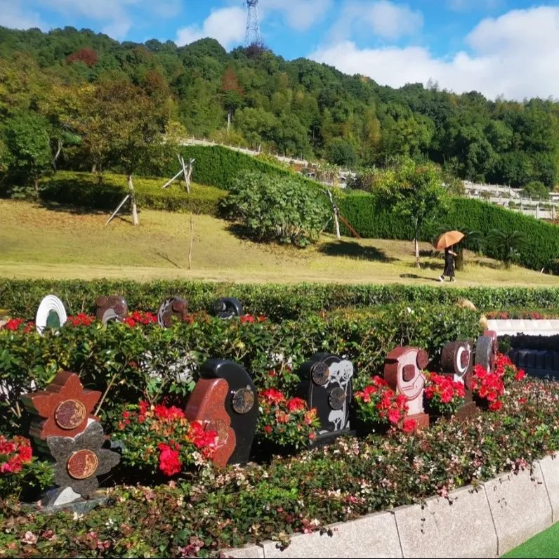 银娱优厚会717(中国)股份有限公司