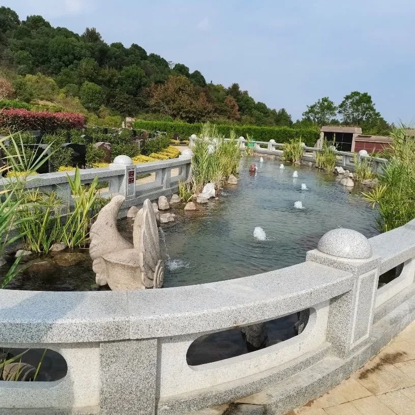 银娱优厚会717(中国)股份有限公司