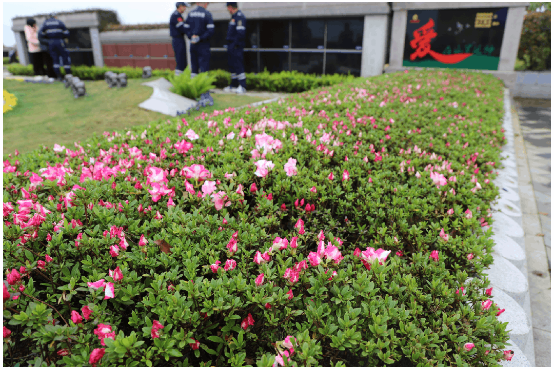 银娱优厚会717(中国)股份有限公司