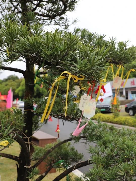 银娱优厚会717(中国)股份有限公司