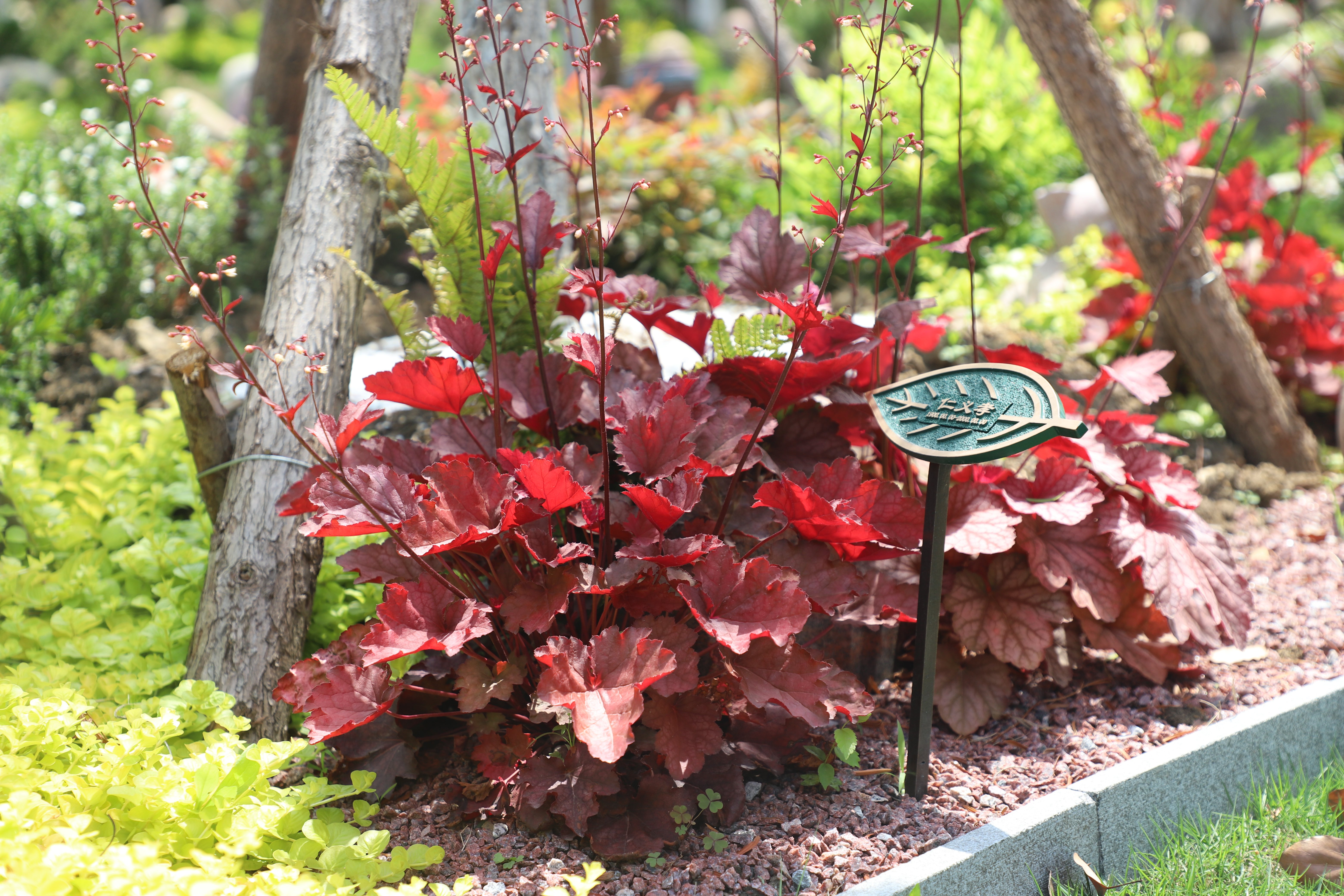 银娱优厚会717(中国)股份有限公司