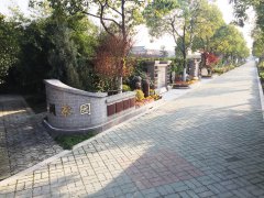 城市最后一平米：生态葬，是与天然的和解？还是无奈的选择？