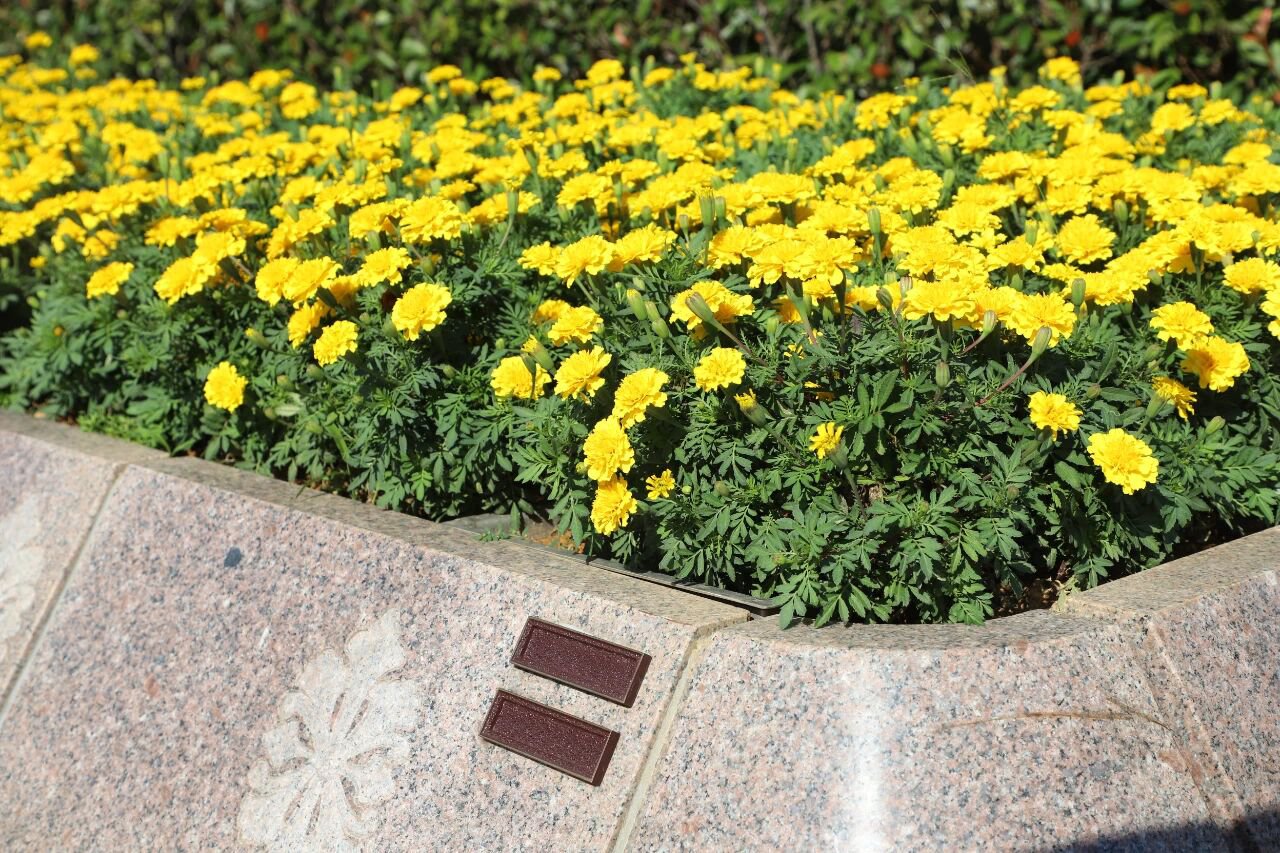 银娱优厚会717(中国)股份有限公司