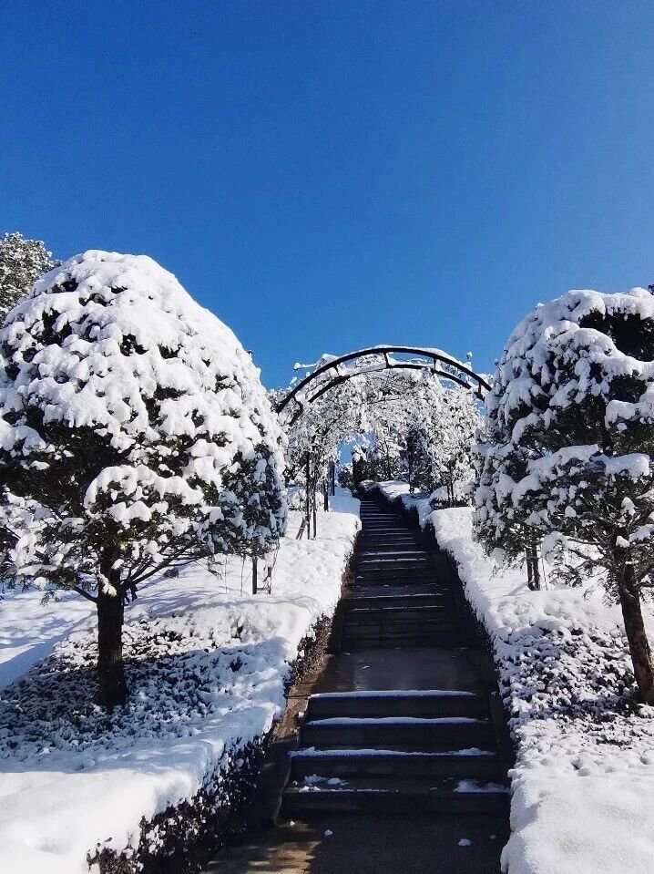 银娱优厚会717(中国)股份有限公司