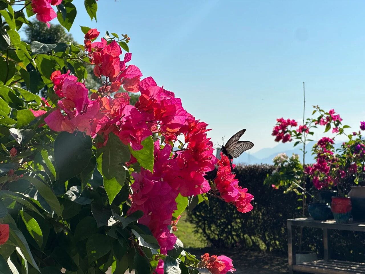 银娱优厚会717(中国)股份有限公司