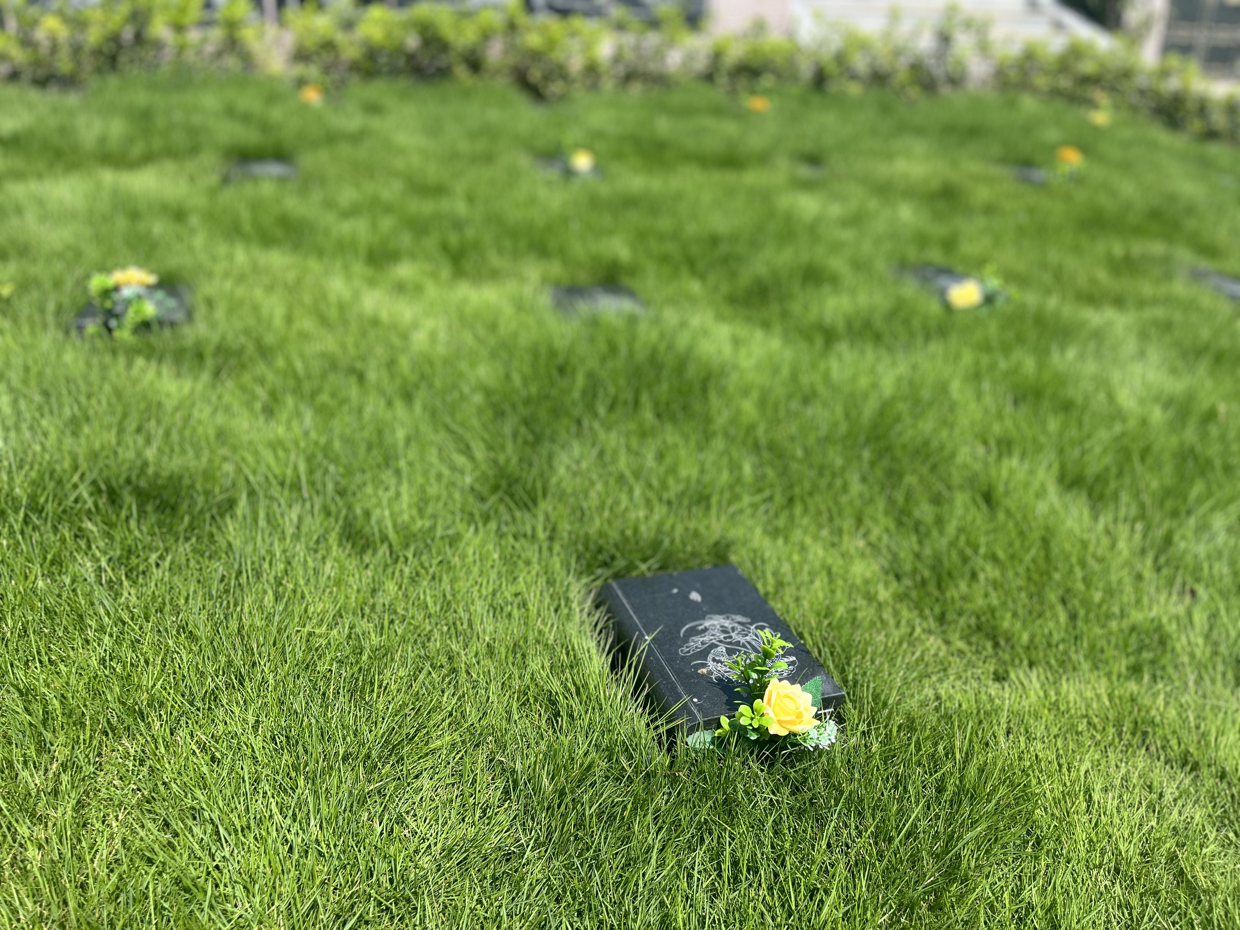 银娱优厚会717(中国)股份有限公司