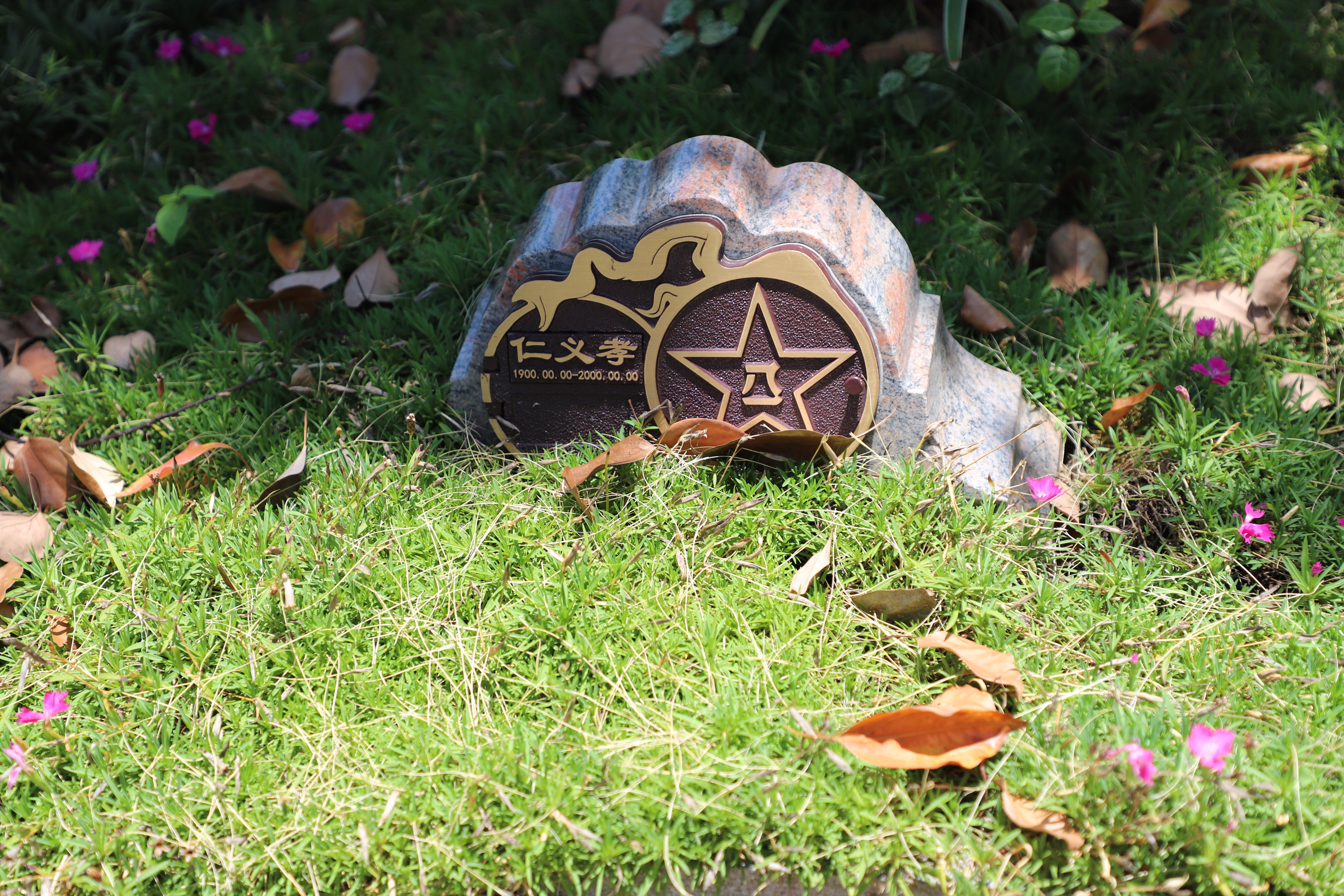 尘归尘，土归土：当性命终与天然相融