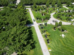 碑雕设计：镌刻汗青，传承人文