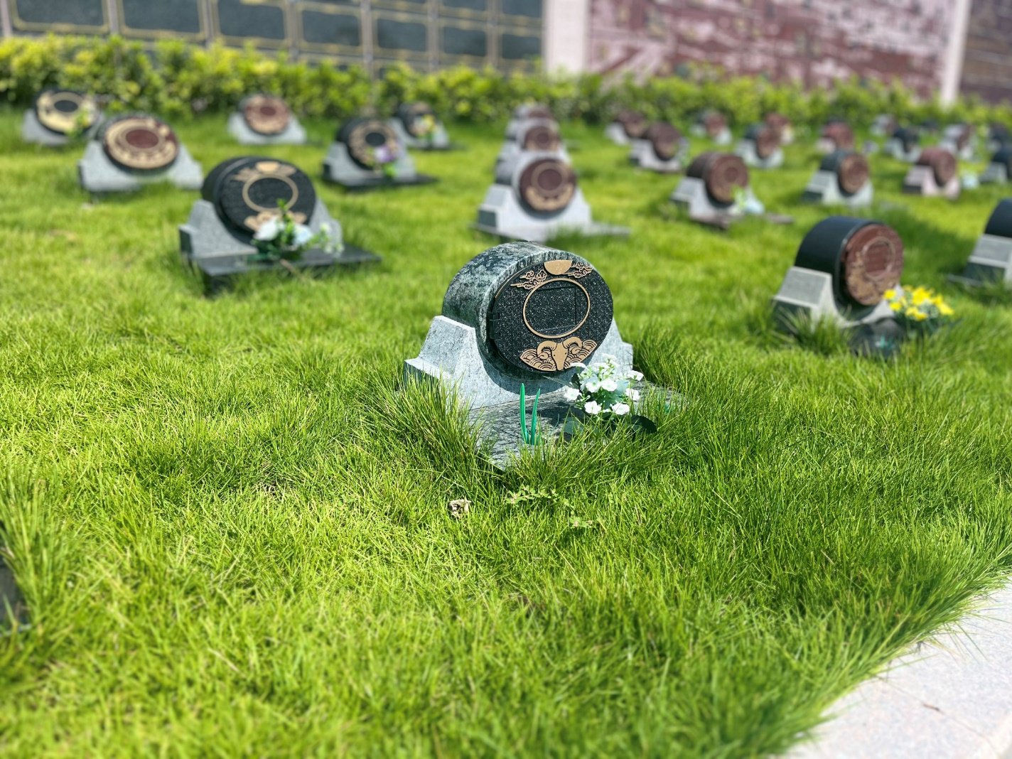 银娱优厚会717(中国)股份有限公司