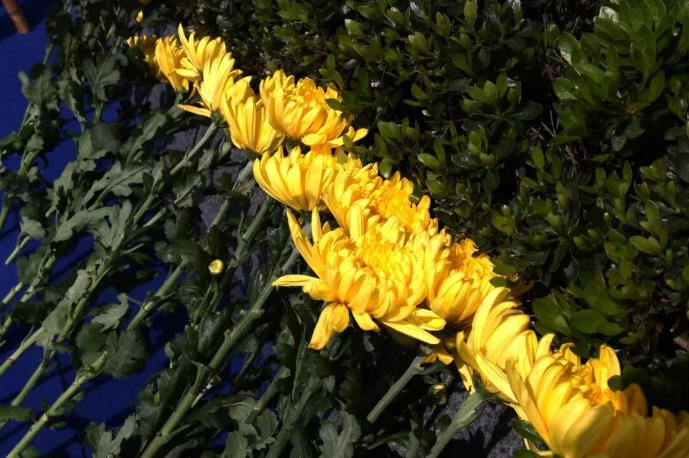 银娱优厚会717(中国)股份有限公司