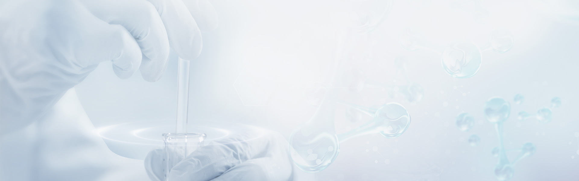 澳门新葡萄新京8883(中国)有限公司官网